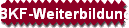 BKF-Weiterbildung