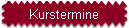 Kurstermine